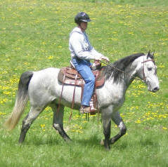 McCurdy's Ragin Cajun, Destiny Hills Ranch